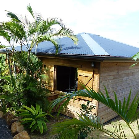 Iguana Ecolodge Saint-Francois  Rum bild